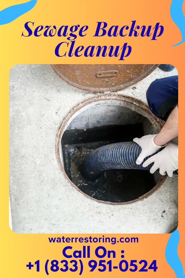 Sewage Backup Cleanup in Kensett, IA